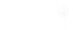 Liebman Coaching & Mentaltræning