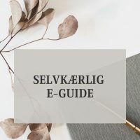 e-guide